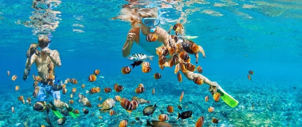 Snorkelling in the Bahamas