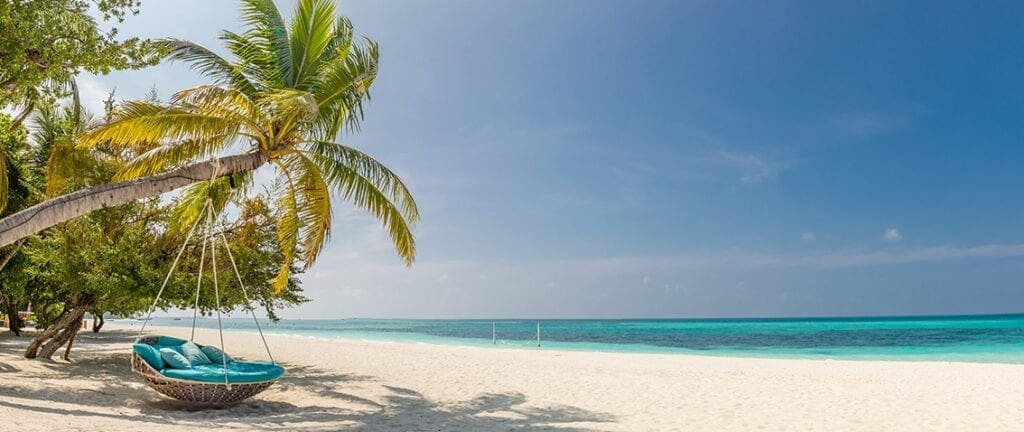 Caribbean beach with palm tree swing
