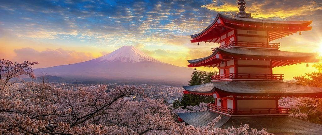 Cherry blossoming with Mount Fuji in the background