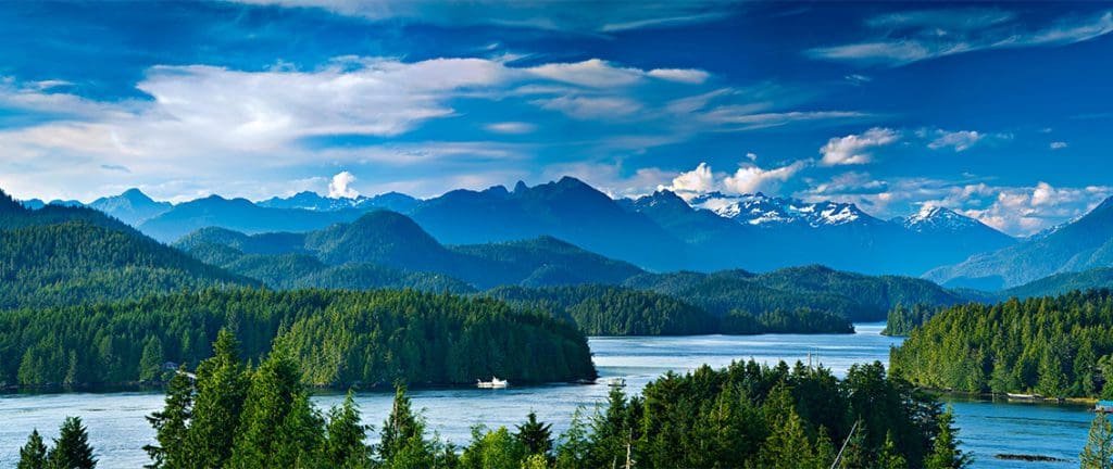 Panoramic view of mountains and pine trees of Tofino in Canada