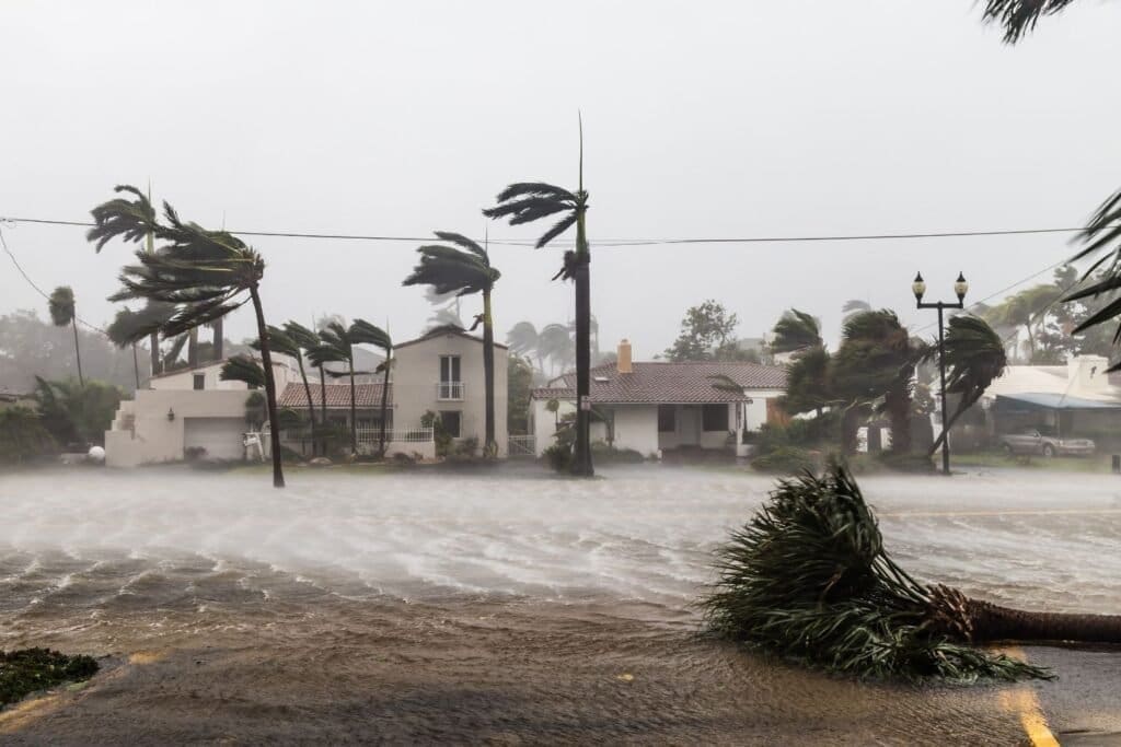 Flooded Las Olas Blvd and Palm trees blowing in the winds